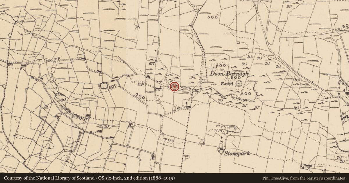 Ordnance Survey six-inch map, 2nd edition (1888–1915) covering the location of Ringfort - cashel, Gorteenaguinnell, County Leitrim, with a pin at the register's coordinates