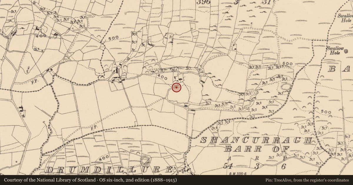 Ordnance Survey six-inch map, 2nd edition (1888–1915) covering the location of Ringfort - cashel, Fenagh, County Leitrim, with a pin at the register's coordinates