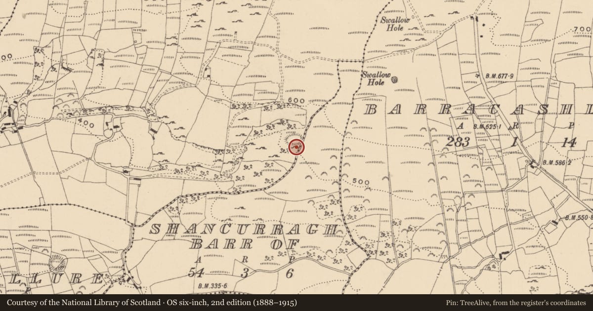 Ordnance Survey six-inch map, 2nd edition (1888–1915) covering the location of Ringfort - rath, Fenagh, County Leitrim, with a pin at the register's coordinates