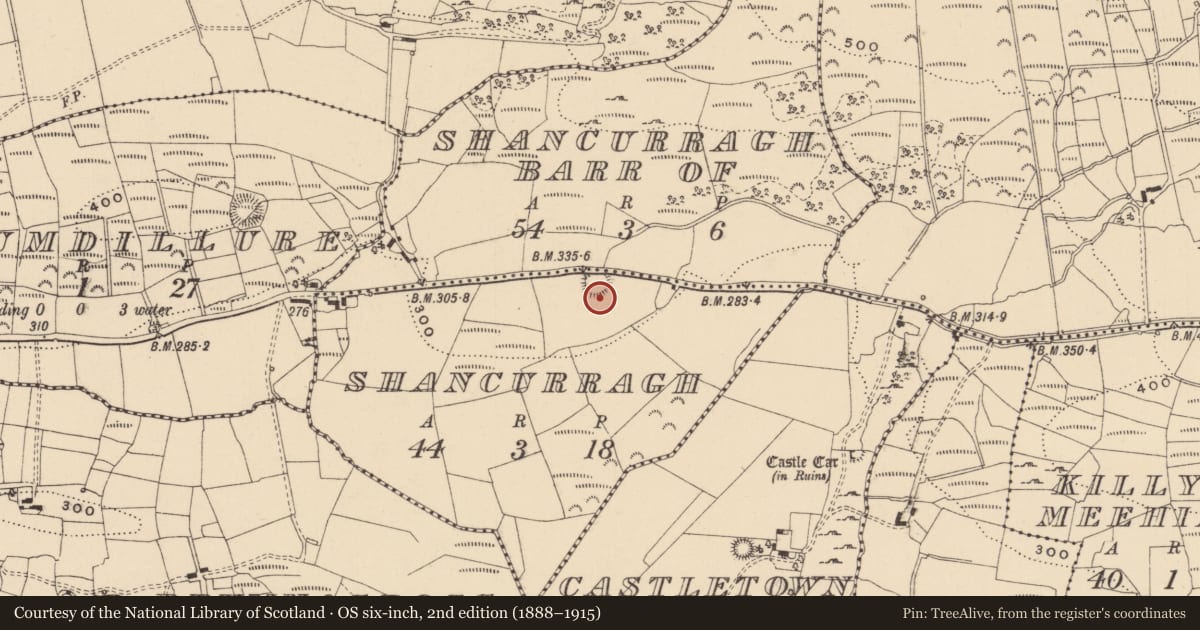 Ordnance Survey six-inch map, 2nd edition (1888–1915) covering the location of Ringfort - rath, Shancurragh, County Leitrim, with a pin at the register's coordinates