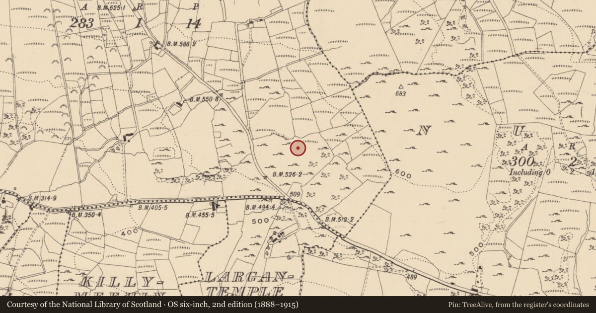 Ordnance Survey six-inch map, 2nd edition (1888–1915) covering the location of Enclosure, Barracashlaun, County Leitrim, with a pin at the register's coordinates