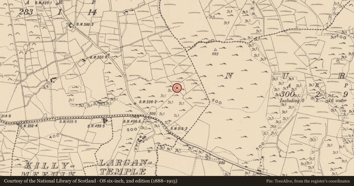 Ordnance Survey six-inch map, 2nd edition (1888–1915) covering the location of Megalithic tomb - court tomb, Barracashlaun, County Leitrim, with a pin at the register's coordinates