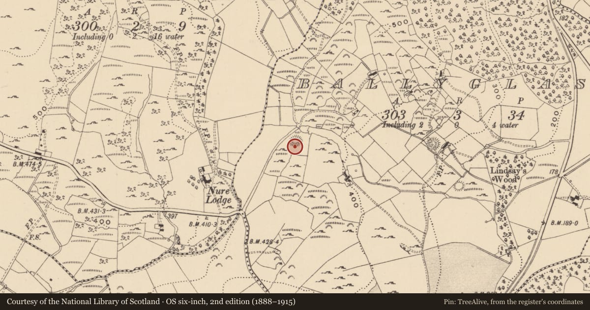 Ordnance Survey six-inch map, 2nd edition (1888–1915) covering the location of Ringfort - cashel, Ballyglass, County Leitrim, with a pin at the register's coordinates
