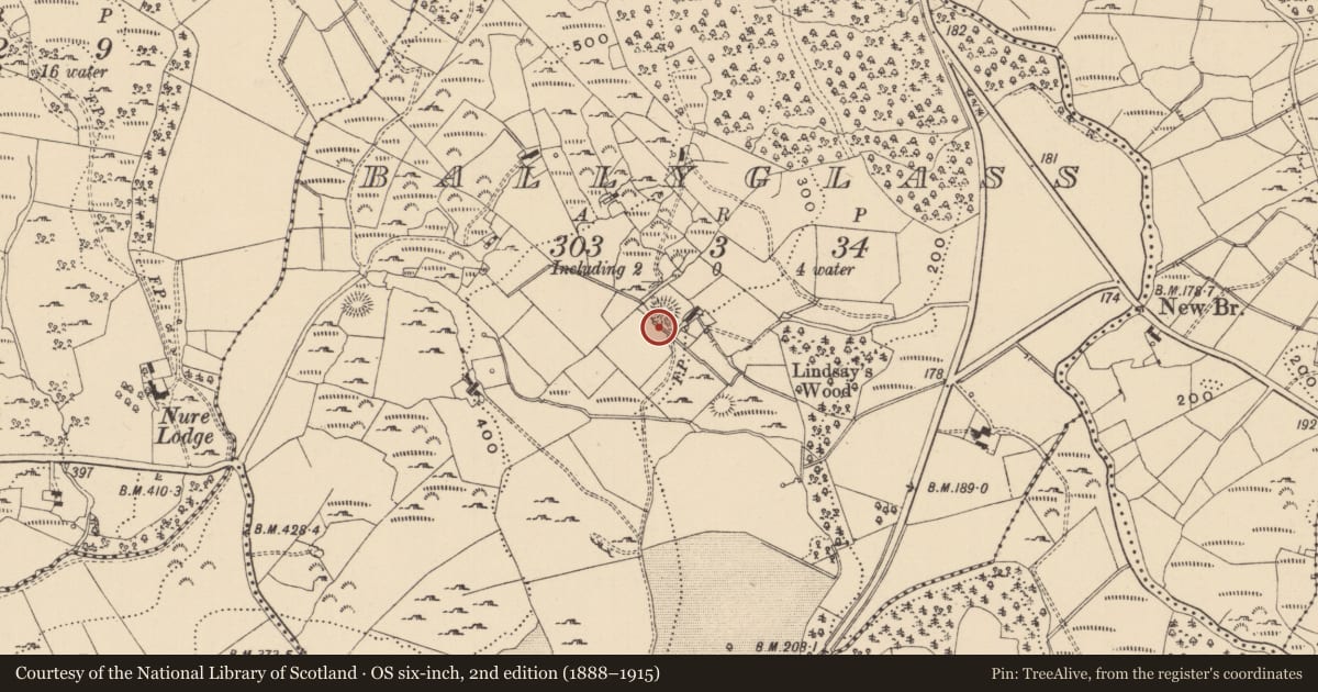Ordnance Survey six-inch map, 2nd edition (1888–1915) covering the location of Ringfort - cashel, Ballyglass, County Leitrim, with a pin at the register's coordinates