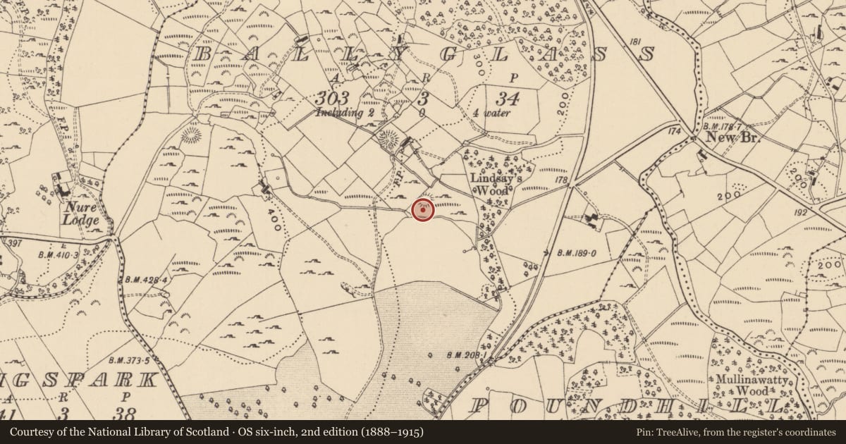 Ordnance Survey six-inch map, 2nd edition (1888–1915) covering the location of Ringfort - rath, Ballyglass, County Leitrim, with a pin at the register's coordinates