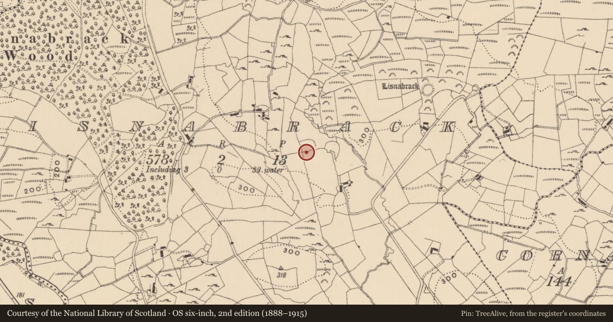 Ordnance Survey six-inch map, 2nd edition (1888–1915) covering the location of Ringfort - rath, Lisnabrack, County Leitrim, with a pin at the register's coordinates