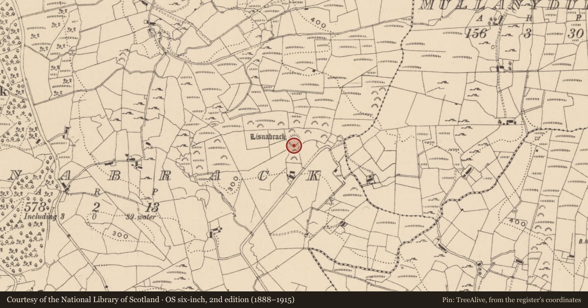 Ordnance Survey six-inch map, 2nd edition (1888–1915) covering the location of Ringfort - rath, Lisnabrack, County Leitrim, with a pin at the register's coordinates