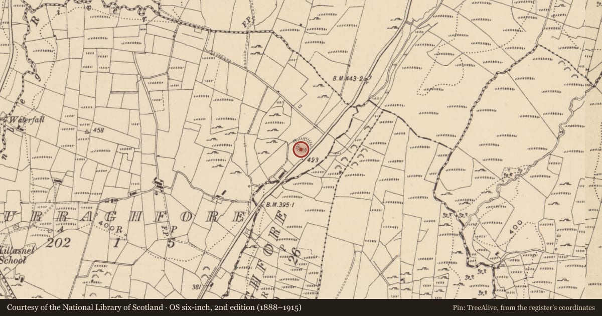 Ordnance Survey six-inch map, 2nd edition (1888–1915) covering the location of Ringfort - rath, Curraghfore, County Leitrim, with a pin at the register's coordinates