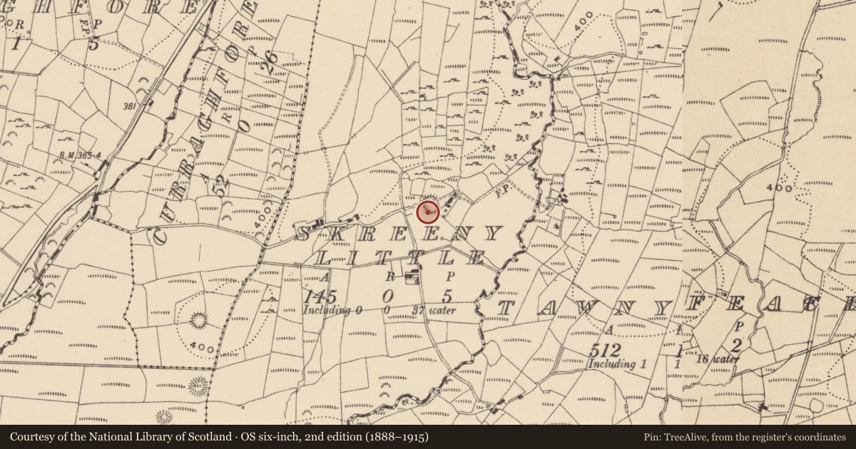 Ordnance Survey six-inch map, 2nd edition (1888–1915) covering the location of Ringfort - rath, Skreeny Little, County Leitrim, with a pin at the register's coordinates