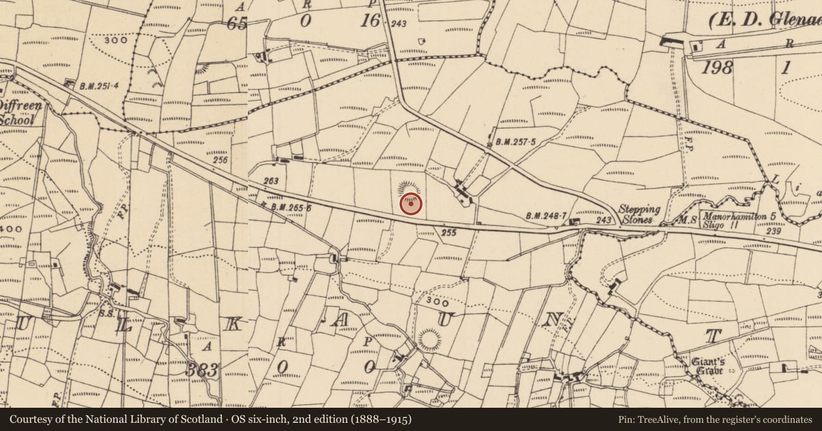 Ordnance Survey six-inch map, 2nd edition (1888–1915) covering the location of Ringfort - rath, Mulkaun, County Leitrim, with a pin at the register's coordinates