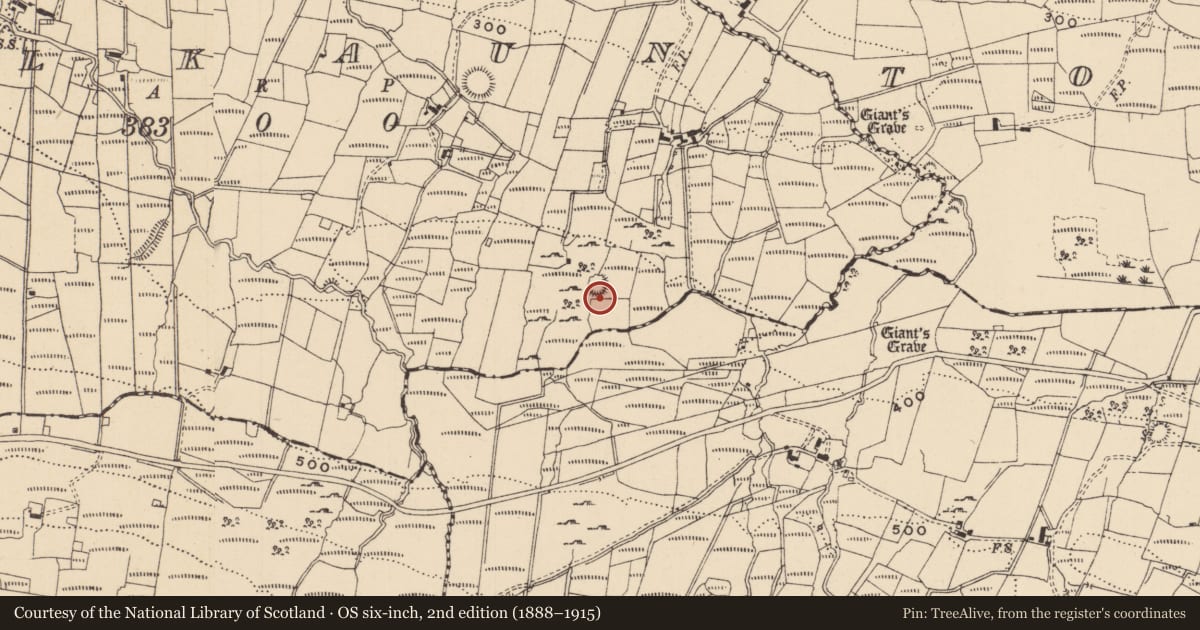 Ordnance Survey six-inch map, 2nd edition (1888–1915) covering the location of Ringfort - rath, Mulkaun, County Leitrim, with a pin at the register's coordinates