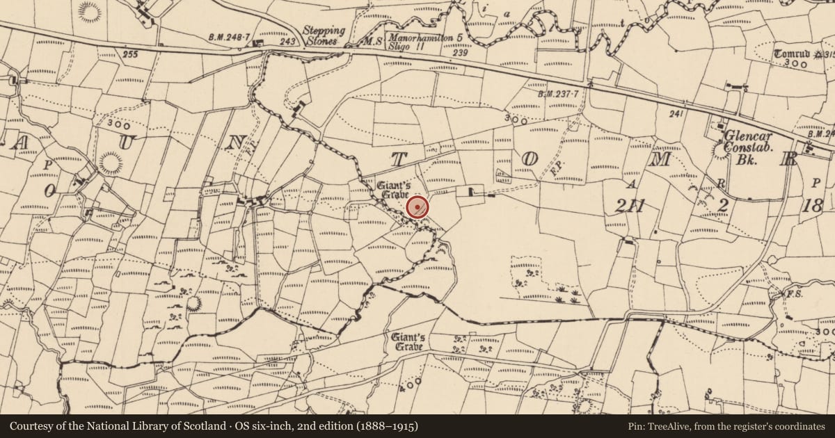 Ordnance Survey six-inch map, 2nd edition (1888–1915) covering the location of Megalithic tomb - court tomb, Tomrud, County Leitrim, with a pin at the register's coordinates
