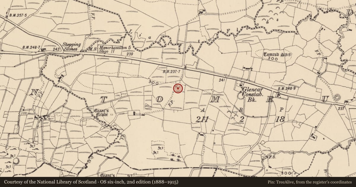 Ordnance Survey six-inch map, 2nd edition (1888–1915) covering the location of Ringfort - rath, Tomrud, County Leitrim, with a pin at the register's coordinates