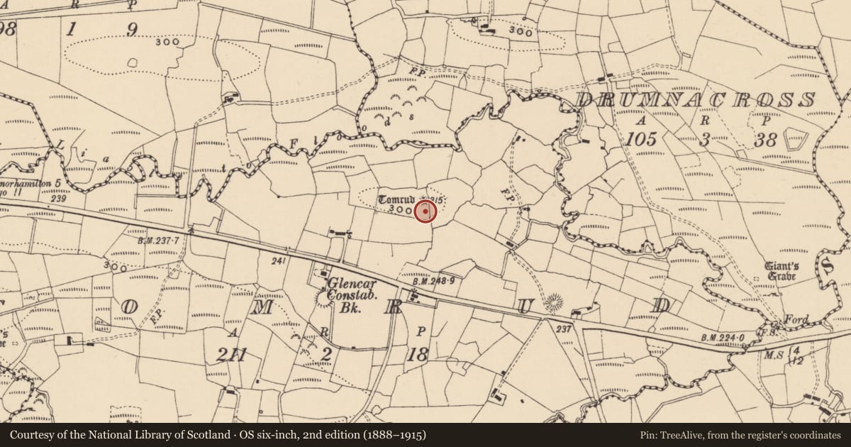 Ordnance Survey six-inch map, 2nd edition (1888–1915) covering the location of Barrow - mound barrow, Tomrud, County Leitrim, with a pin at the register's coordinates