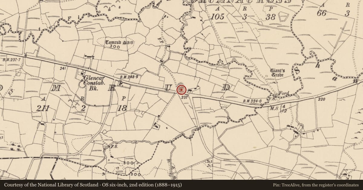 Ordnance Survey six-inch map, 2nd edition (1888–1915) covering the location of Ringfort - rath, Tomrud, County Leitrim, with a pin at the register's coordinates