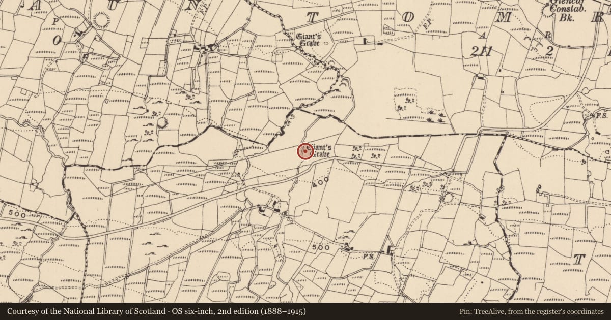 Ordnance Survey six-inch map, 2nd edition (1888–1915) covering the location of Megalithic structure, Conray, County Leitrim, with a pin at the register's coordinates
