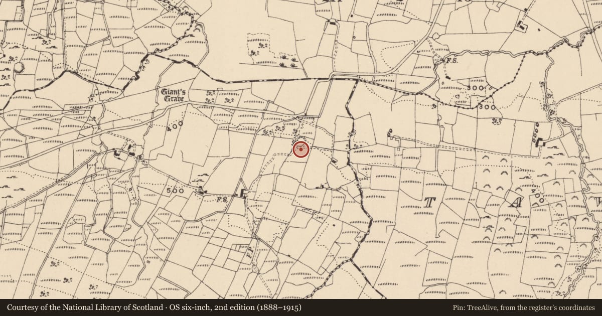 Ordnance Survey six-inch map, 2nd edition (1888–1915) covering the location of Ringfort - rath, Conray, County Leitrim, with a pin at the register's coordinates