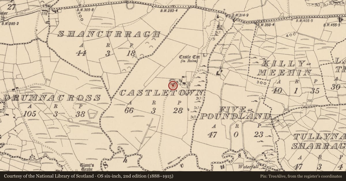 Ordnance Survey six-inch map, 2nd edition (1888–1915) covering the location of Ringfort - rath, Castletown, County Leitrim, with a pin at the register's coordinates