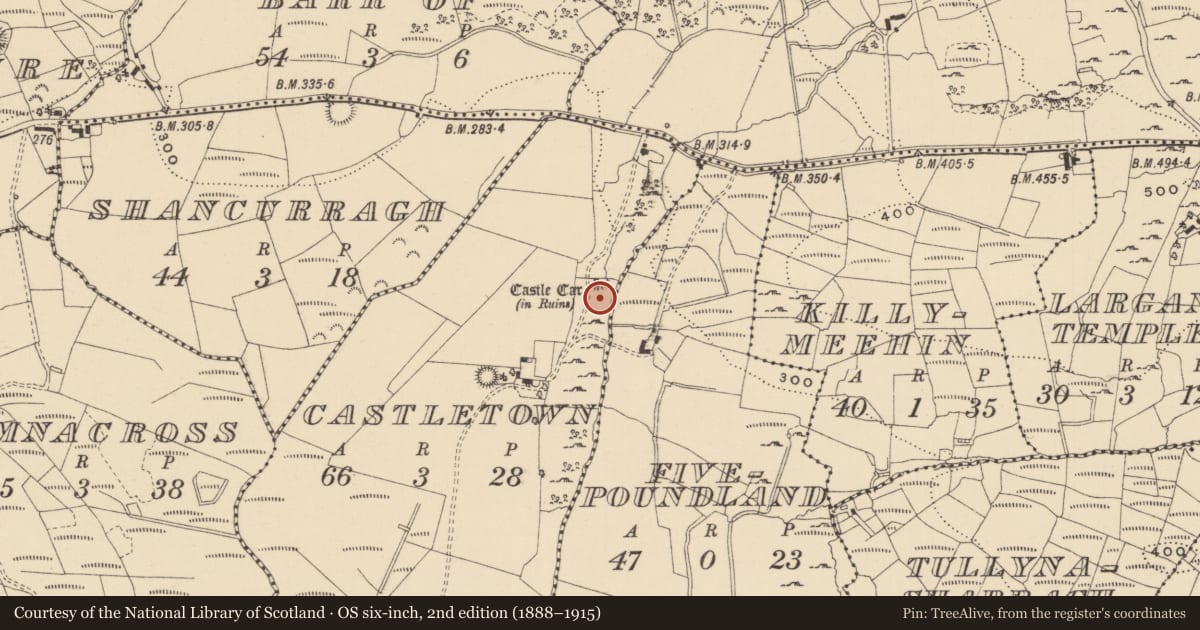 Ordnance Survey six-inch map, 2nd edition (1888–1915) covering the location of Castle - tower house, Castletown, County Leitrim, with a pin at the register's coordinates