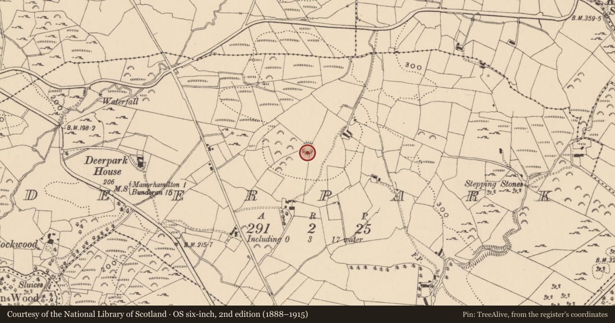 Ordnance Survey six-inch map, 2nd edition (1888–1915) covering the location of Ringfort - rath, Deerpark, County Leitrim, with a pin at the register's coordinates