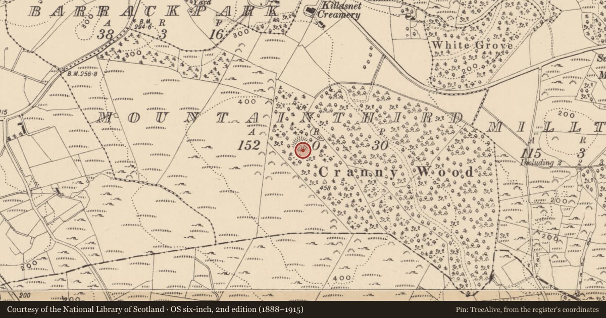 Ordnance Survey six-inch map, 2nd edition (1888–1915) covering the location of Ringfort - unclassified, Mountainthird, County Leitrim, with a pin at the register's coordinates