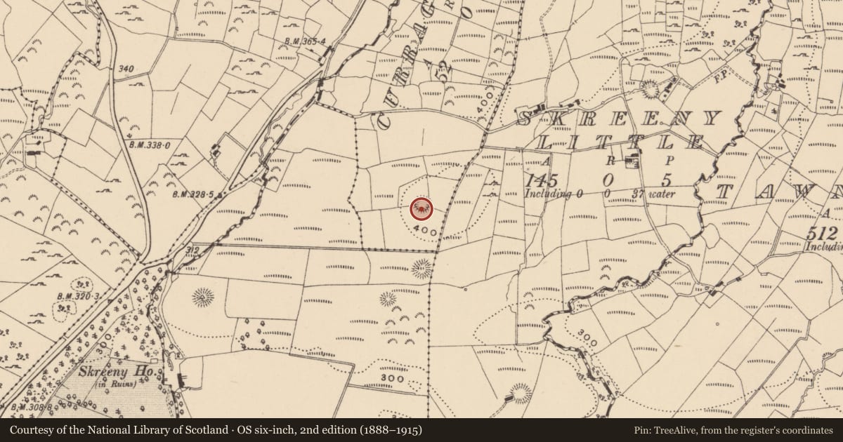 Ordnance Survey six-inch map, 2nd edition (1888–1915) covering the location of Ringfort - rath, Curraghfore, County Leitrim, with a pin at the register's coordinates