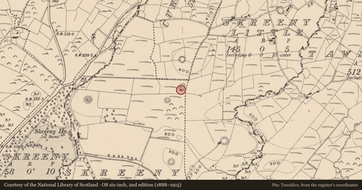 Ordnance Survey six-inch map, 2nd edition (1888–1915) covering the location of Ringfort - rath, Skreeny, County Leitrim, with a pin at the register's coordinates
