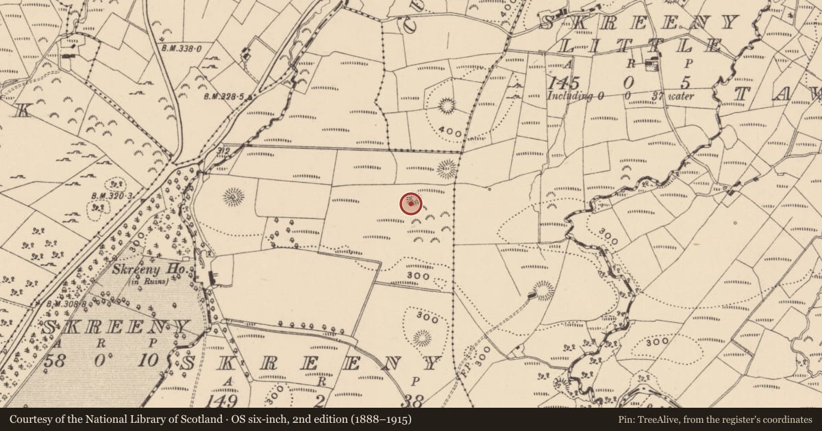 Ordnance Survey six-inch map, 2nd edition (1888–1915) covering the location of Ringfort - rath, Skreeny, County Leitrim, with a pin at the register's coordinates