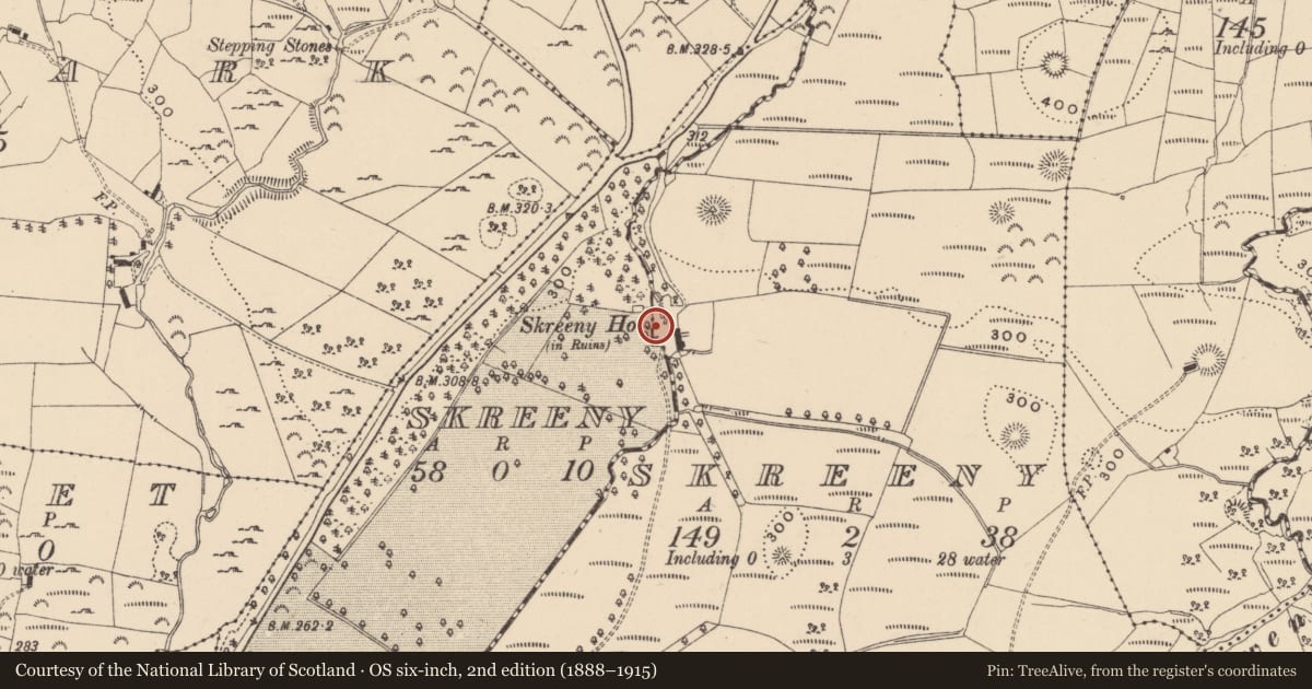 Ordnance Survey six-inch map, 2nd edition (1888–1915) covering the location of Country house, Skreeny, County Leitrim, with a pin at the register's coordinates