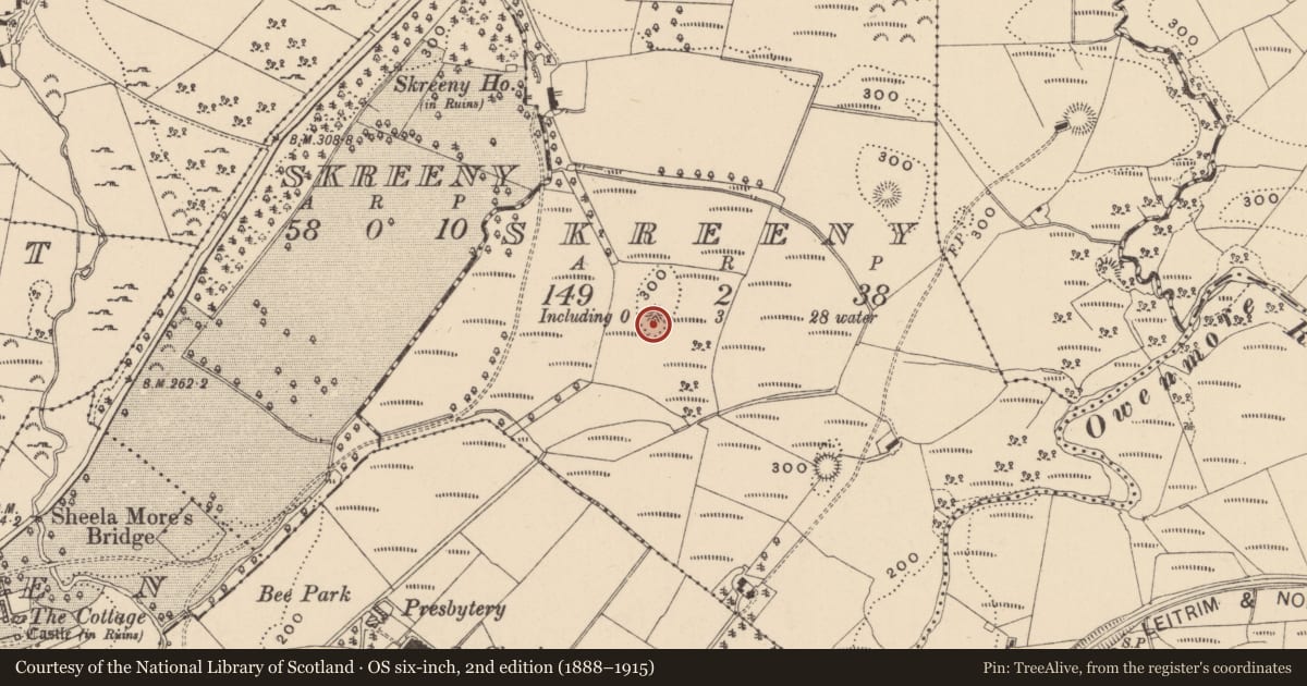 Ordnance Survey six-inch map, 2nd edition (1888–1915) covering the location of Enclosure, Skreeny, County Leitrim, with a pin at the register's coordinates