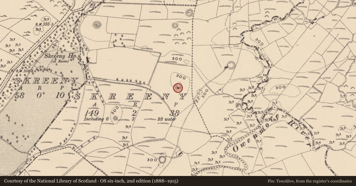 Ordnance Survey six-inch map, 2nd edition (1888–1915) covering the location of Ringfort - rath, Skreeny, County Leitrim, with a pin at the register's coordinates
