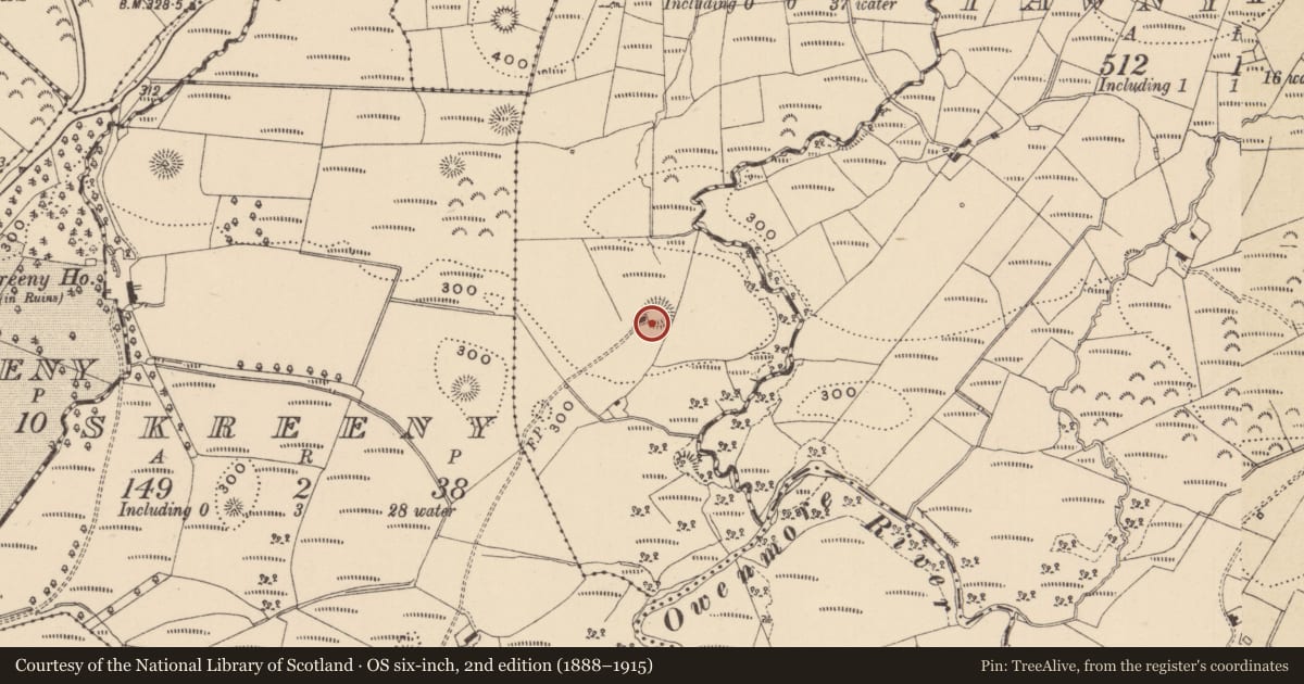 Ordnance Survey six-inch map, 2nd edition (1888–1915) covering the location of Ringfort - rath, Skreeny Little, County Leitrim, with a pin at the register's coordinates