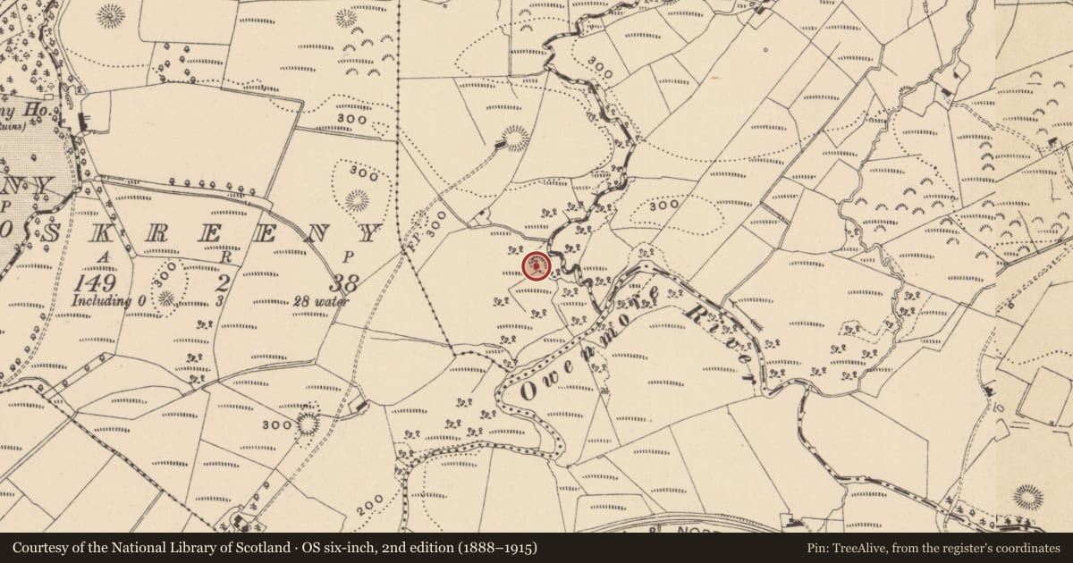 Ordnance Survey six-inch map, 2nd edition (1888–1915) covering the location of Ringfort - rath, Skreeny Little, County Leitrim, with a pin at the register's coordinates