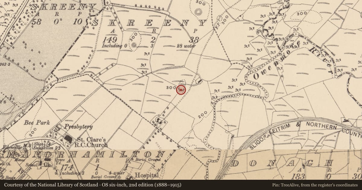 Ordnance Survey six-inch map, 2nd edition (1888–1915) covering the location of Ringfort - rath, Skreeny, County Leitrim, with a pin at the register's coordinates