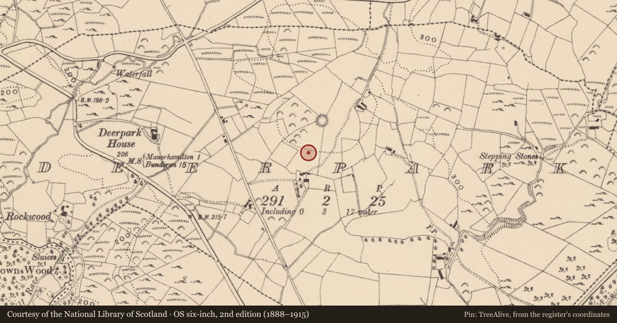 Ordnance Survey six-inch map, 2nd edition (1888–1915) covering the location of Deer park, Deerpark, County Leitrim, with a pin at the register's coordinates