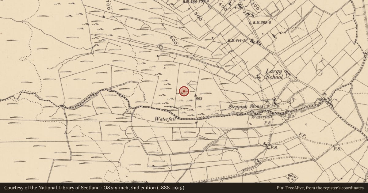 Ordnance Survey six-inch map, 2nd edition (1888–1915) covering the location of Ringfort - rath, Largy, County Leitrim, with a pin at the register's coordinates