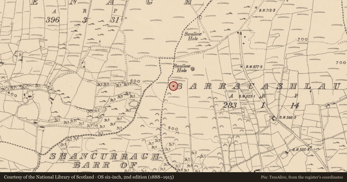 Ordnance Survey six-inch map, 2nd edition (1888–1915) covering the location of Barrow - mound barrow, Barracashlaun, County Leitrim, with a pin at the register's coordinates