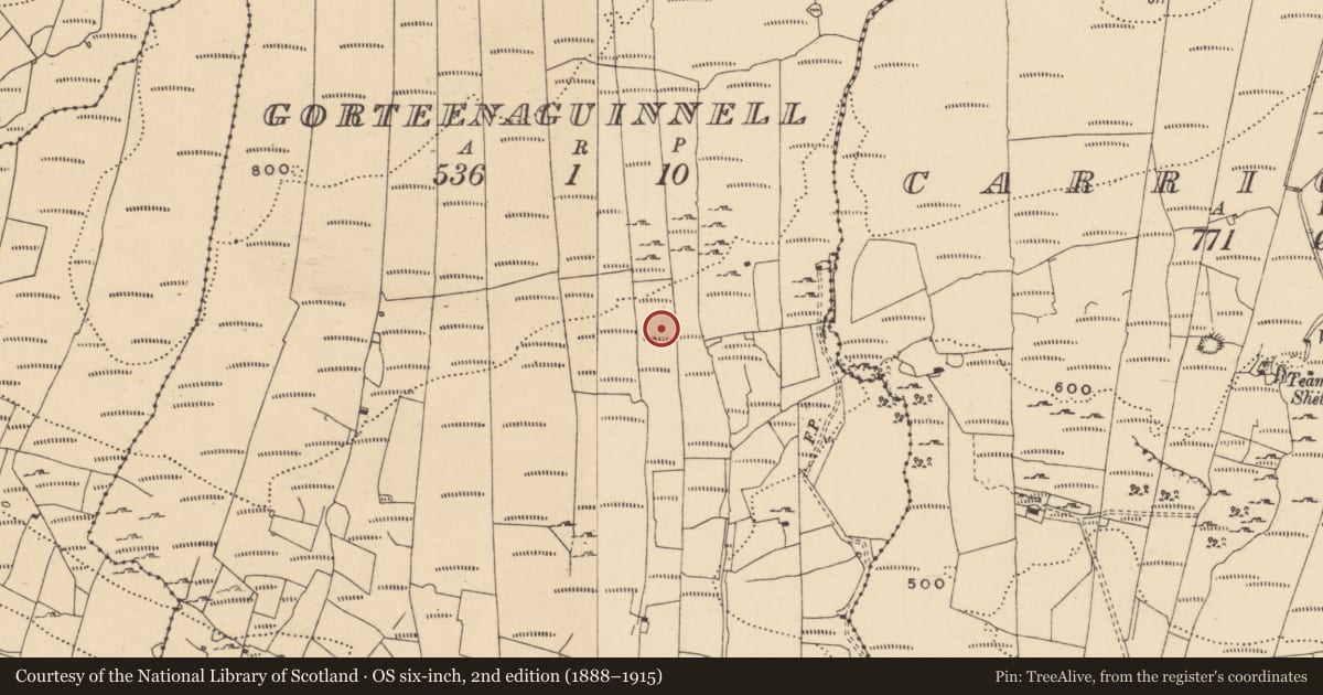 Ordnance Survey six-inch map, 2nd edition (1888–1915) covering the location of Sweathouse, Gorteenaguinnell, County Leitrim, with a pin at the register's coordinates