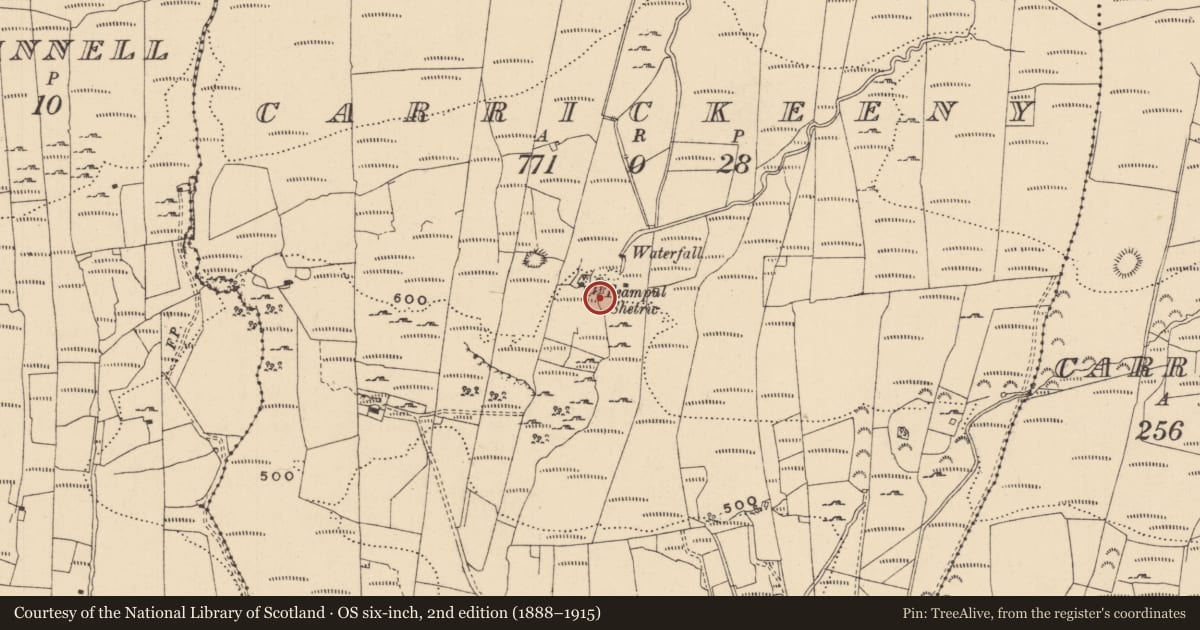 Ordnance Survey six-inch map, 2nd edition (1888–1915) covering the location of Penal Mass station, Carrickeeny, County Leitrim, with a pin at the register's coordinates