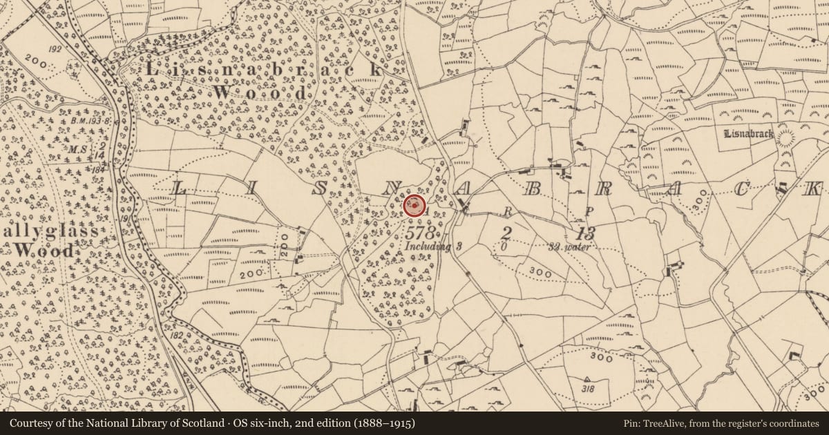 Ordnance Survey six-inch map, 2nd edition (1888–1915) covering the location of Mass-rock, Lisnabrack, County Leitrim, with a pin at the register's coordinates