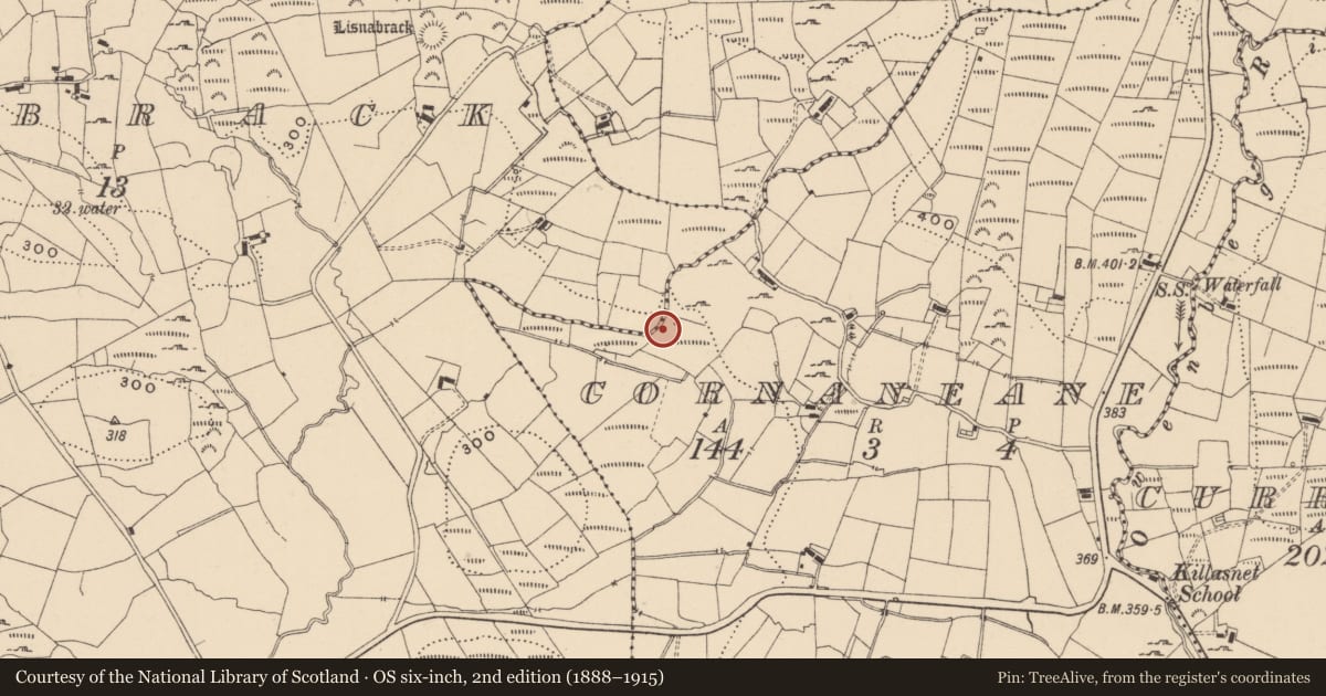 Ordnance Survey six-inch map, 2nd edition (1888–1915) covering the location of Sweathouse, Lisnabrack, County Leitrim, with a pin at the register's coordinates