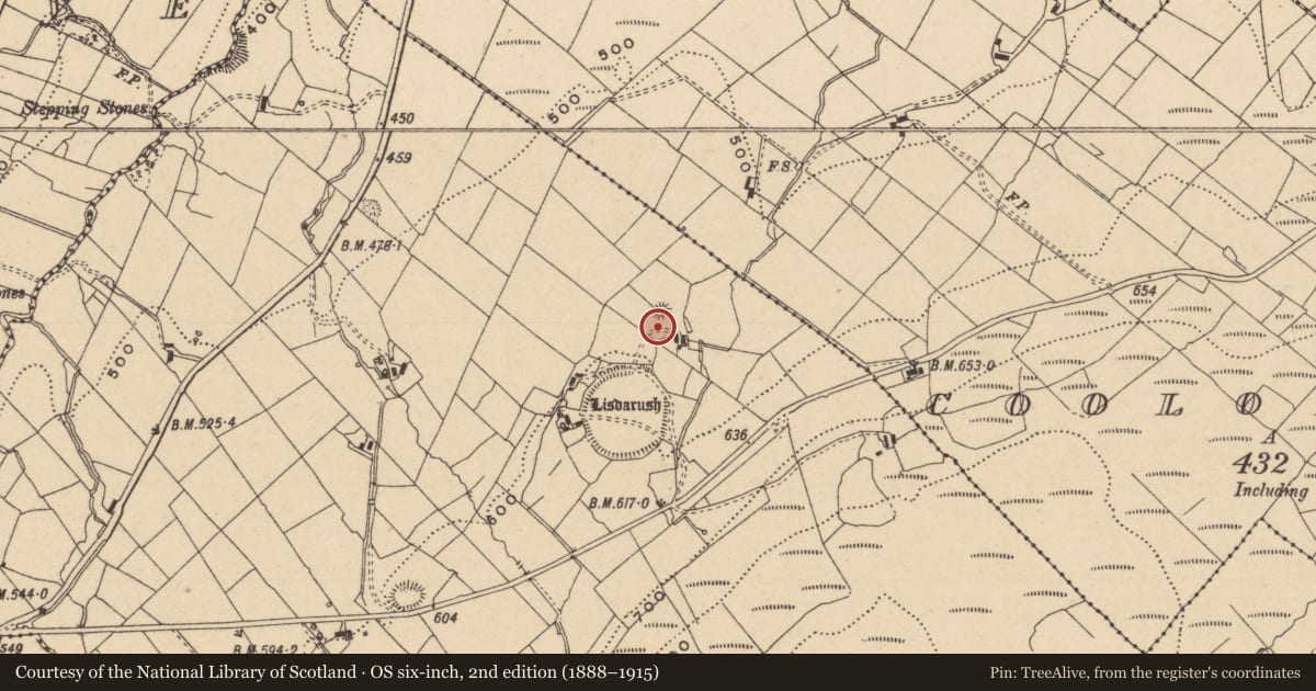 Ordnance Survey six-inch map, 2nd edition (1888–1915) covering the location of Barrow - ring-barrow, Lisdarush, County Leitrim, with a pin at the register's coordinates