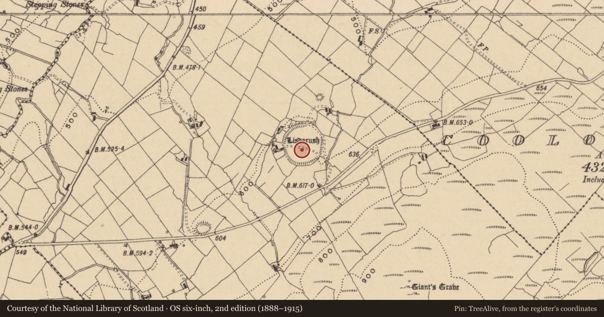 Ordnance Survey six-inch map, 2nd edition (1888–1915) covering the location of Ceremonial enclosure, Lisdarush, County Leitrim, with a pin at the register's coordinates