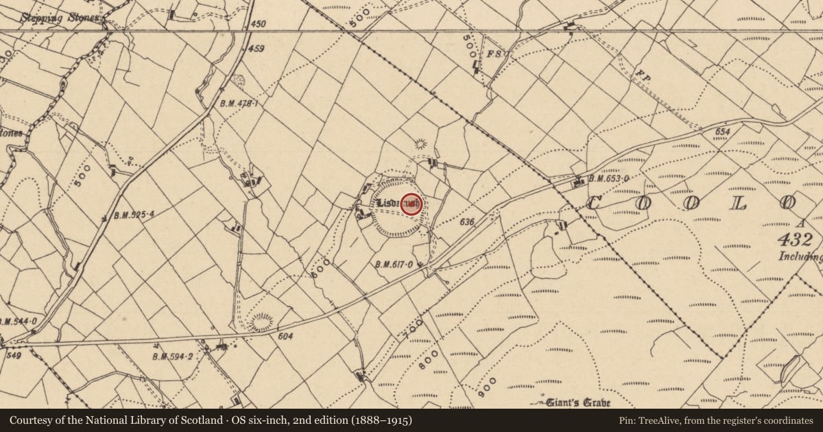 Ordnance Survey six-inch map, 2nd edition (1888–1915) covering the location of Standing stone, Lisdarush, County Leitrim, with a pin at the register's coordinates