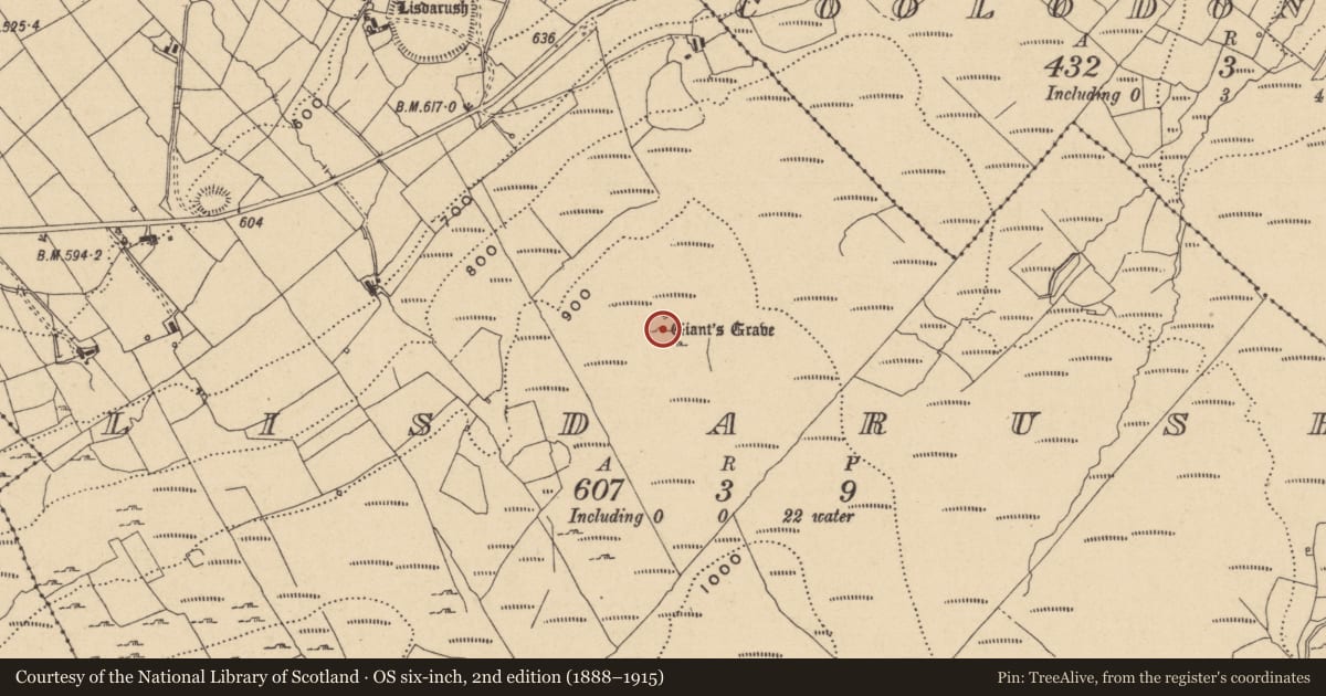 Ordnance Survey six-inch map, 2nd edition (1888–1915) covering the location of Megalithic tomb - wedge tomb, Lisdarush, County Leitrim, with a pin at the register's coordinates