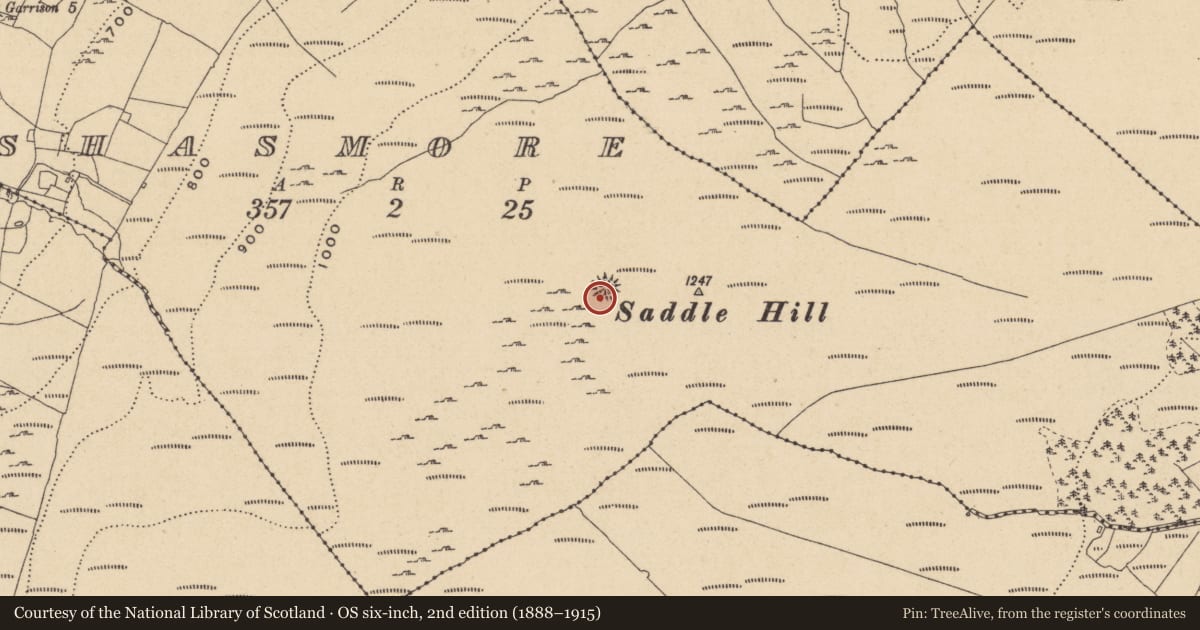 Ordnance Survey six-inch map, 2nd edition (1888–1915) covering the location of Cairn - ring-cairn, Shasmore, County Leitrim, with a pin at the register's coordinates