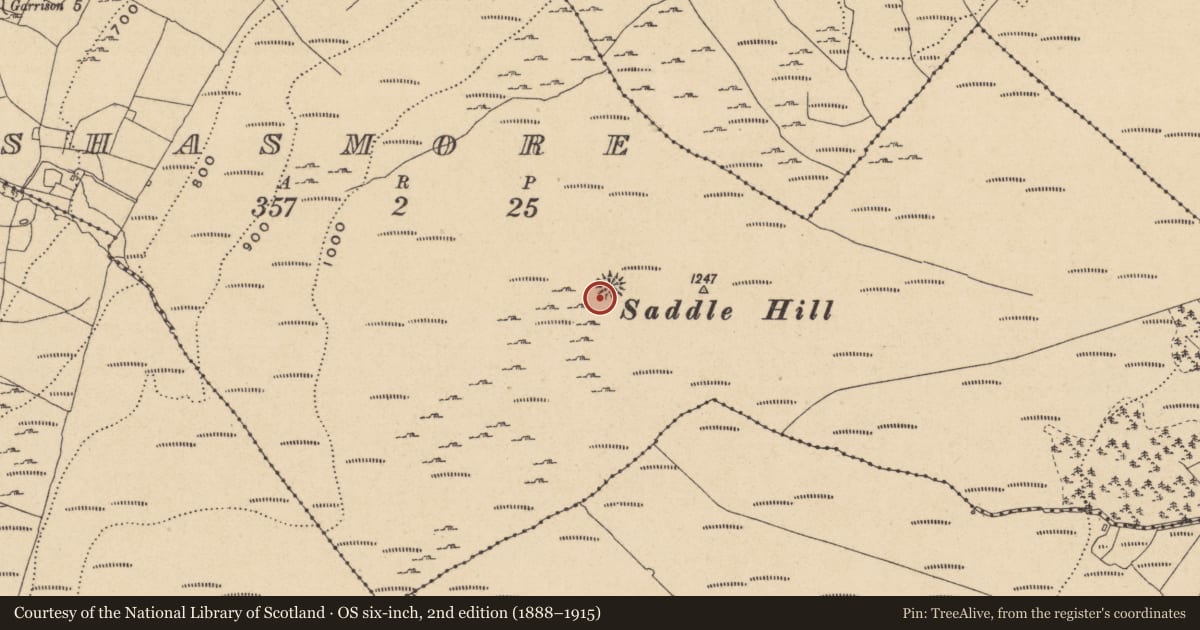Ordnance Survey six-inch map, 2nd edition (1888–1915) covering the location of Cist, Shasmore, County Leitrim, with a pin at the register's coordinates