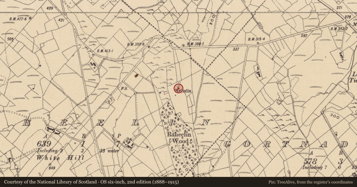 Ordnance Survey six-inch map, 2nd edition (1888–1915) covering the location of Ringfort - unclassified, Raheelin, County Leitrim, with a pin at the register's coordinates