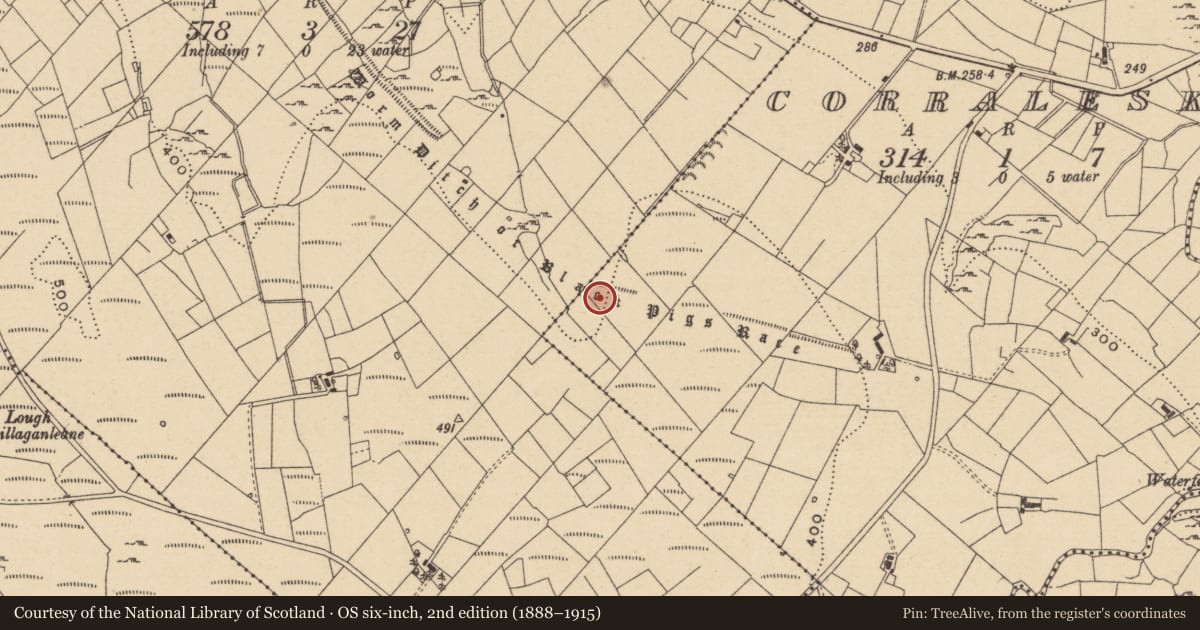 Ordnance Survey six-inch map, 2nd edition (1888–1915) covering the location of Linear earthwork, Corraleskin, Gortnaderrary, County Leitrim, with a pin at the register's coordinates