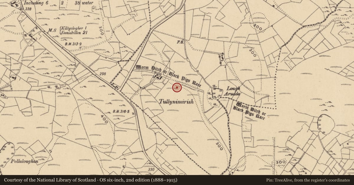 Ordnance Survey six-inch map, 2nd edition (1888–1915) covering the location of Linear earthwork, Corracloona, Aghavanny, County Leitrim, with a pin at the register's coordinates